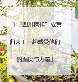 “四川榜样”载誉归来！一起感受他们的温度与力量